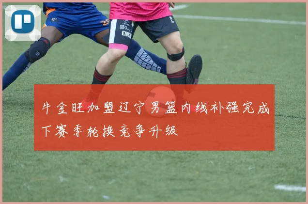 牛金旺加盟辽宁男篮内线补强完成下赛季轮换竞争升级