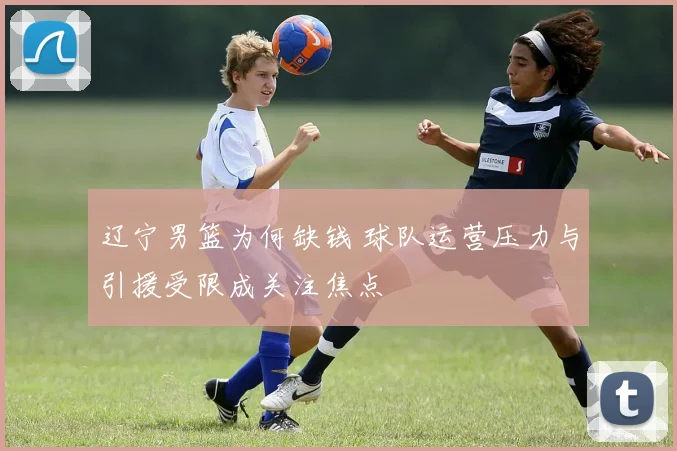 辽宁男篮为何缺钱 球队运营压力与引援受限成关注焦点