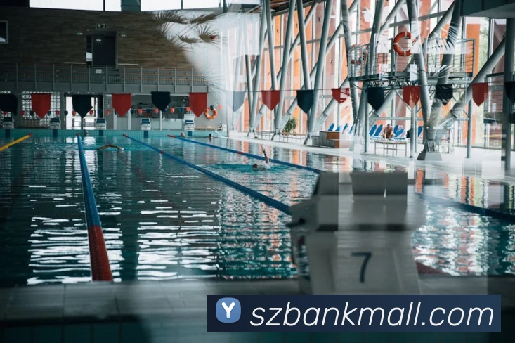 半岛网站发展历程